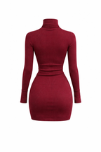 Burgundy Ribbed Turtleneck Bodycon Mini Dress